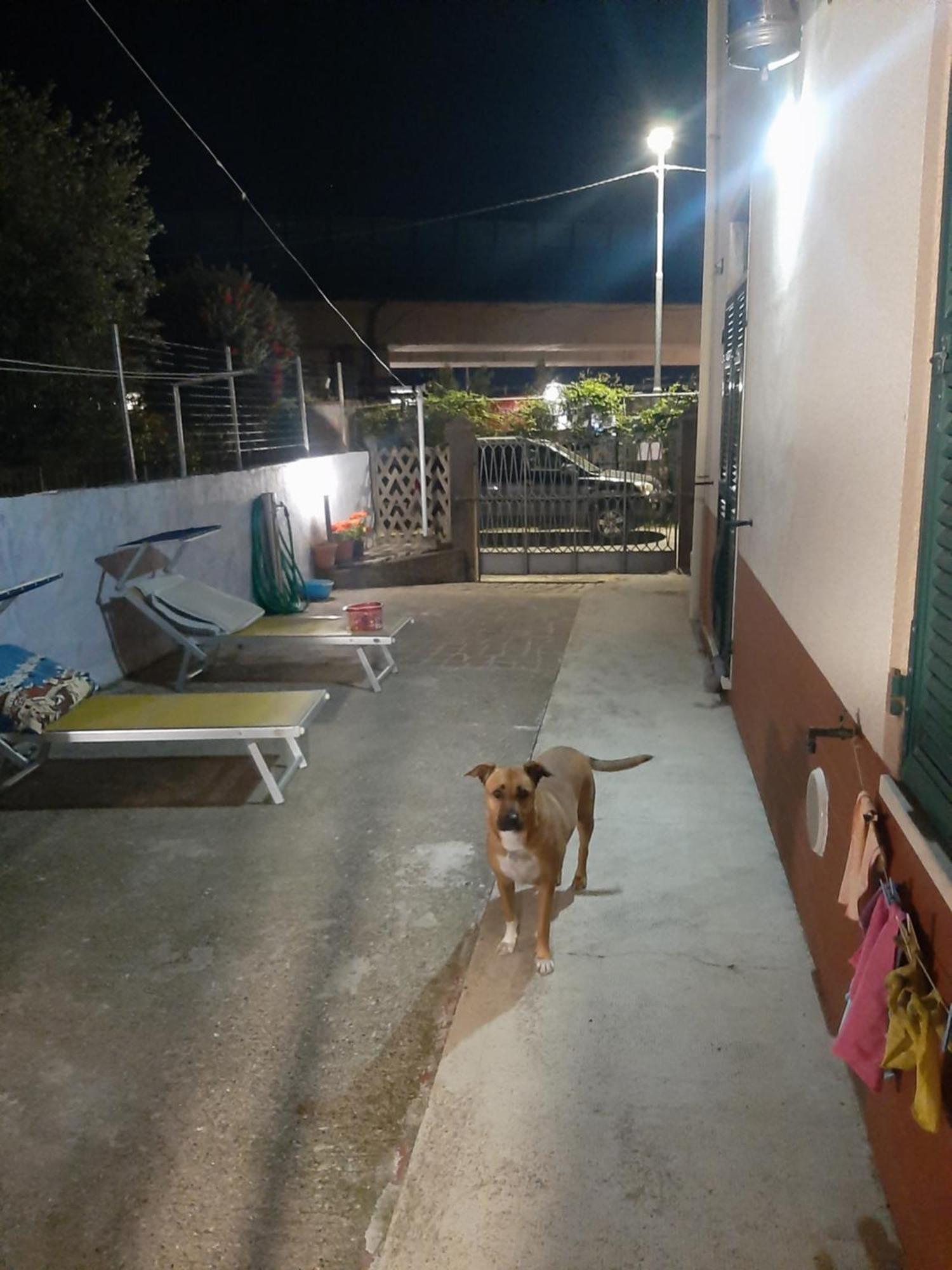 Casa Vacanza Dh La Spezia Kültér fotó